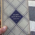Dumb Animal
