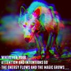 how to practice magic 