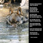 “Wolves”, Lana Crozier