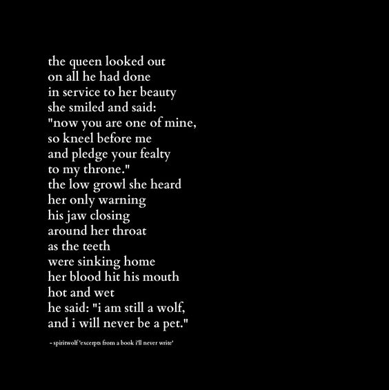 3b6f86326734d900ab0475d83090d6c3