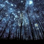 the fault in our stars…